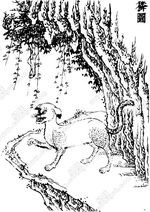 当康