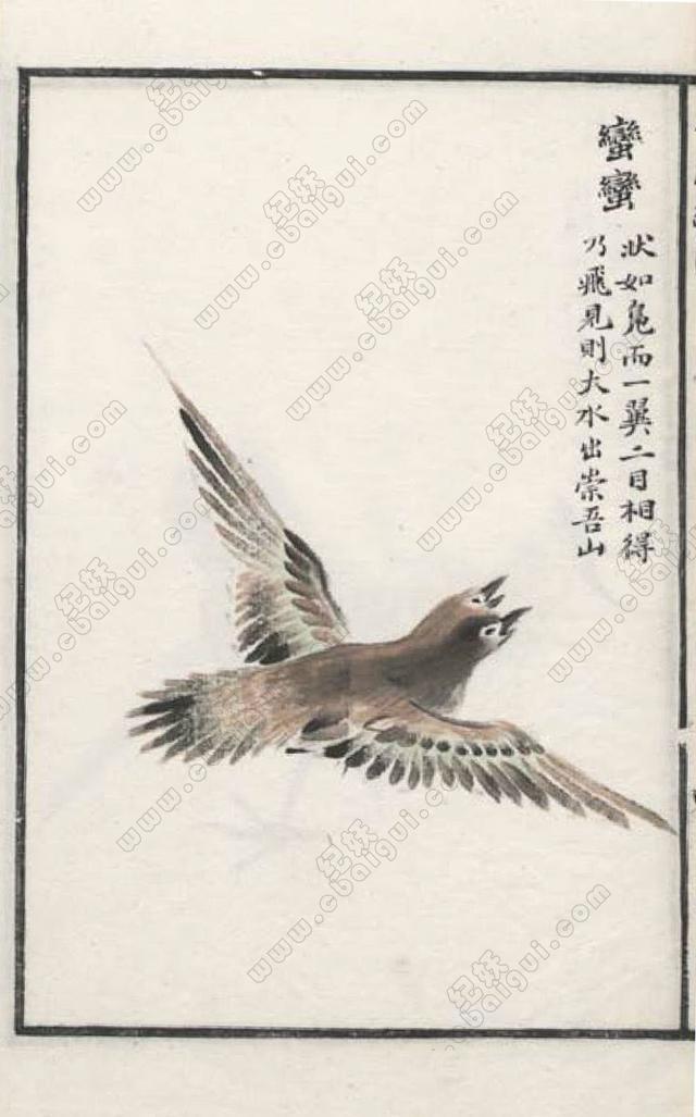 CShanhaijing-Manman-the-bird