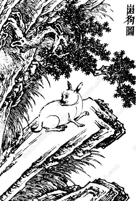 兔相关文章列表 - 纪妖