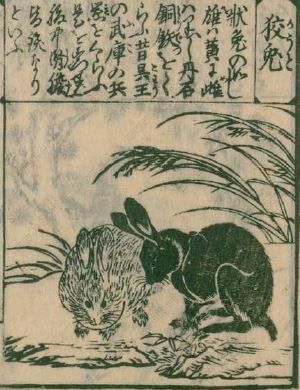 人皆衣.勃鞮国3202010月02《拾遗记》 黃龍曳尾於前,玄龜負青泥於後.